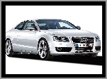 Białe, Audi A5