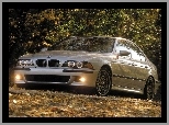 E39, BMW Seria M, BMW 5