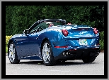 Ferrari California T, Tył