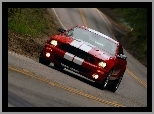 Ford Mustang, Shelby