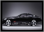 Maybach, Exelero