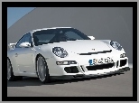 Przód porsche Gt3